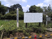 isami01.jpg