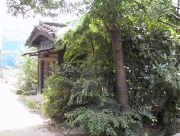 isami06.jpg