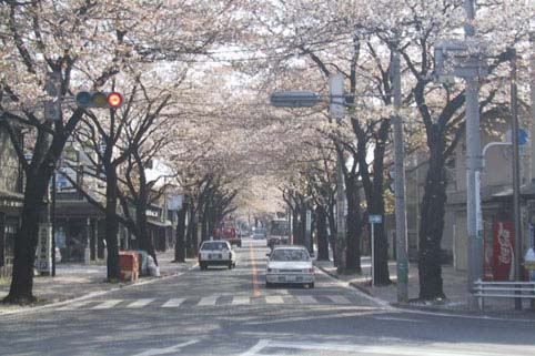 多磨霊園にねむる有名人